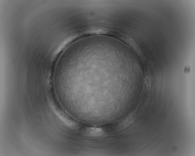 X0000113250159200909171634