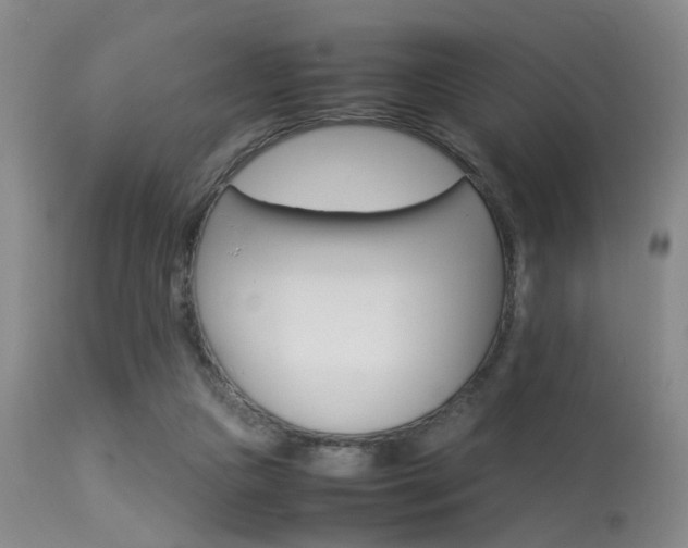 X0000113250161200909171634