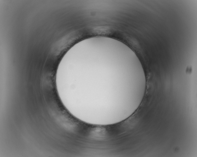 X0000113250162200909171634