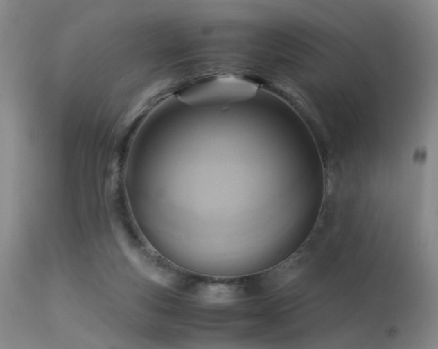 X0000113250163200909171634