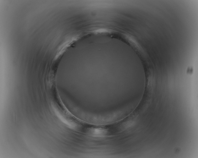 X0000113250165200909171634