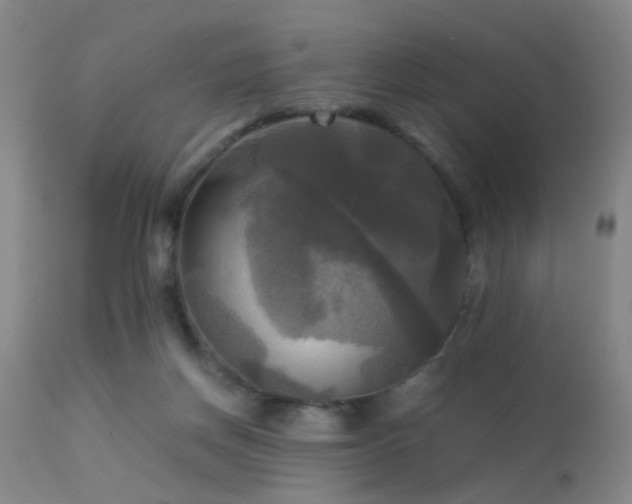 X0000113250166200909171634