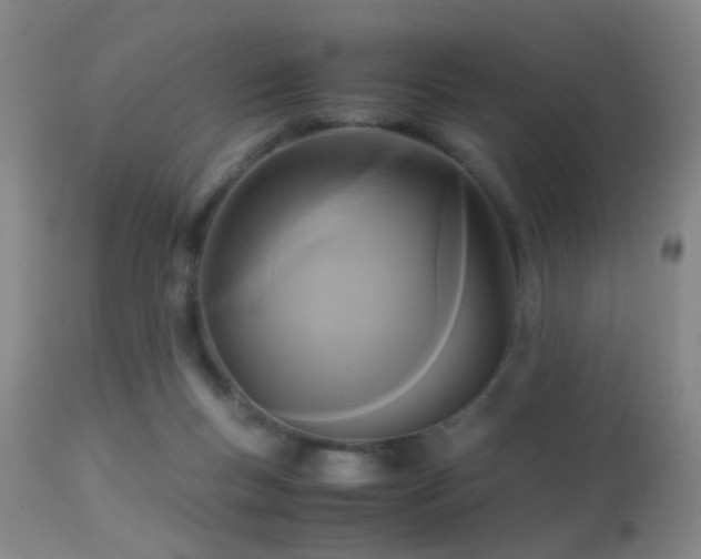 X0000113250167200909171634