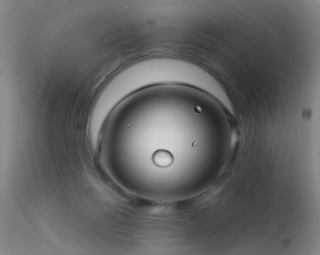 X0000113250168200909171634