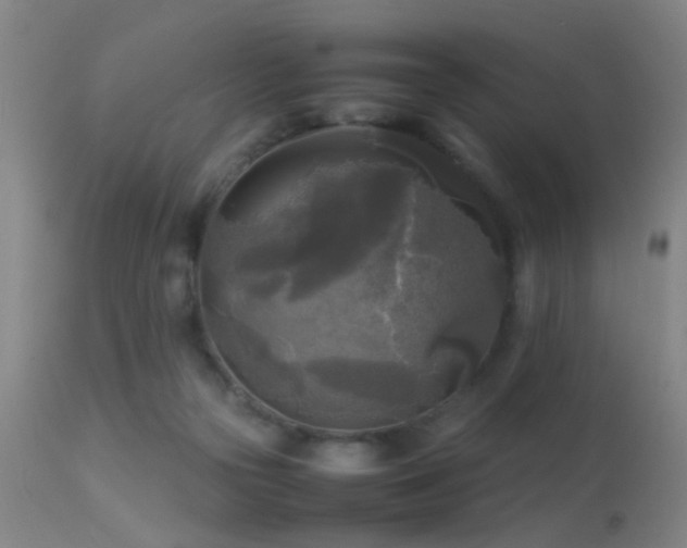 X0000113250169200909171634