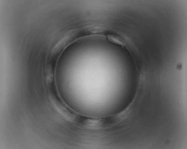 X0000113250170200909171634