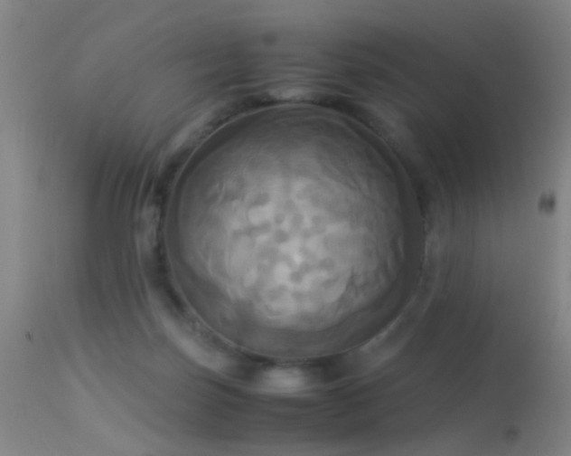 X0000113250171200909171634