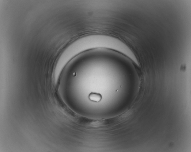 X0000113250172200909171634