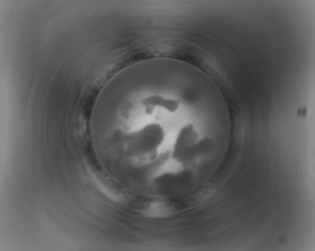 X0000113250173200909171634