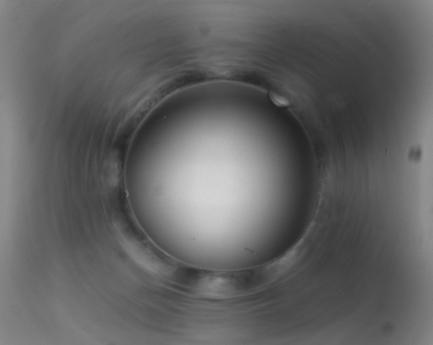 X0000113250174200909171634