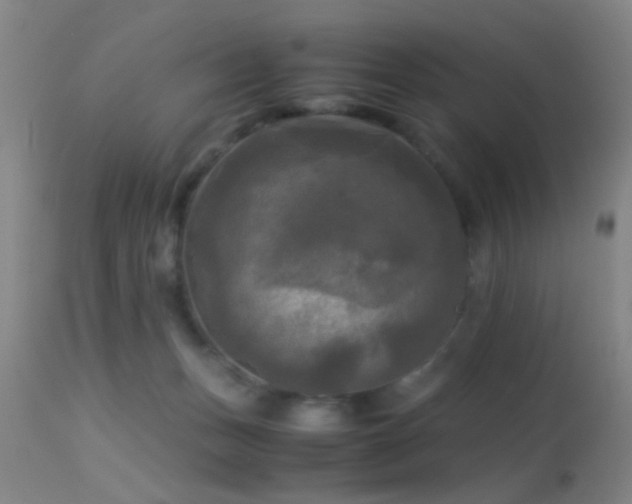 X0000113250175200909171634