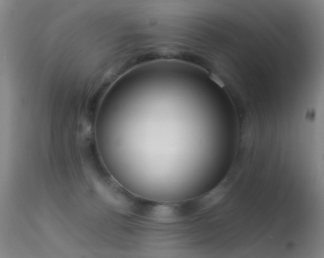 X0000113250176200909171634