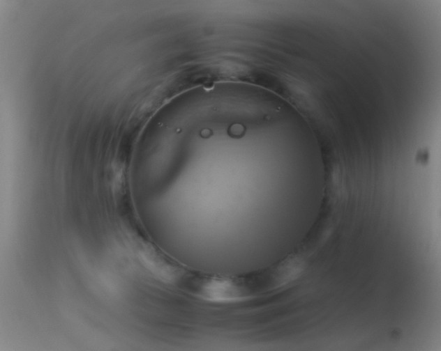 X0000113250177200909171634