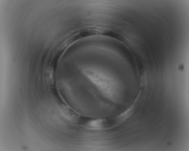 X0000113250178200909171634