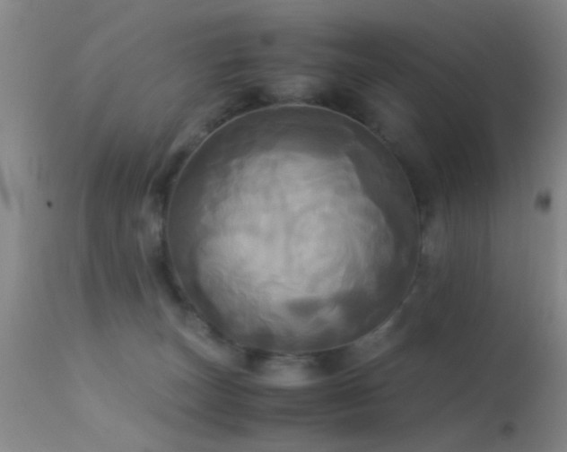 X0000113250179200909171634