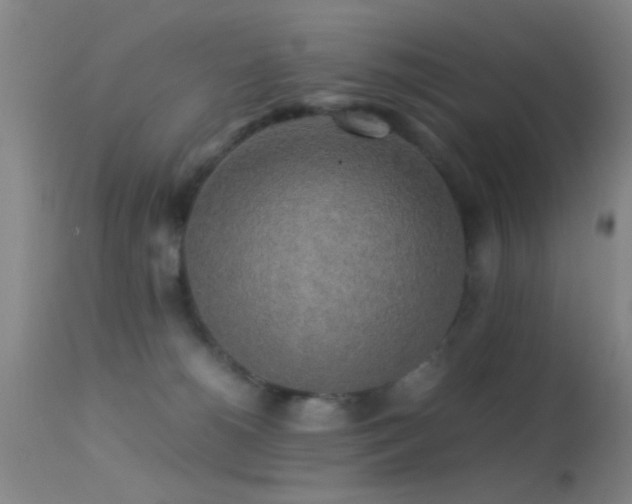 X0000113250180200909171634