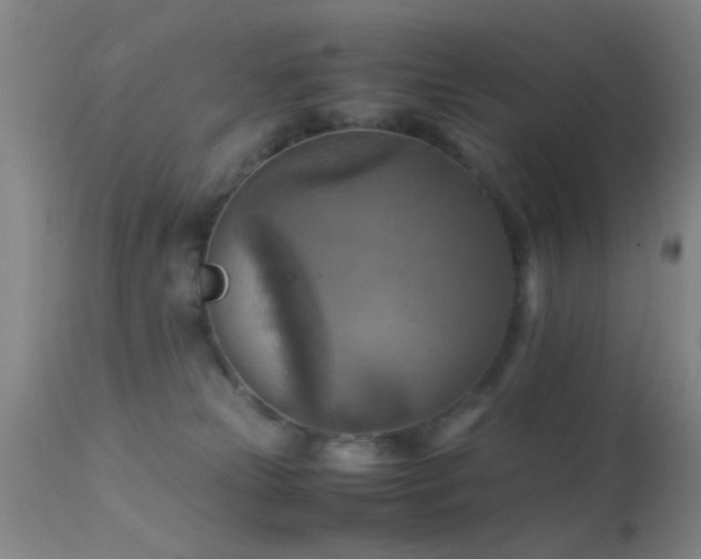 X0000113250181200909171634