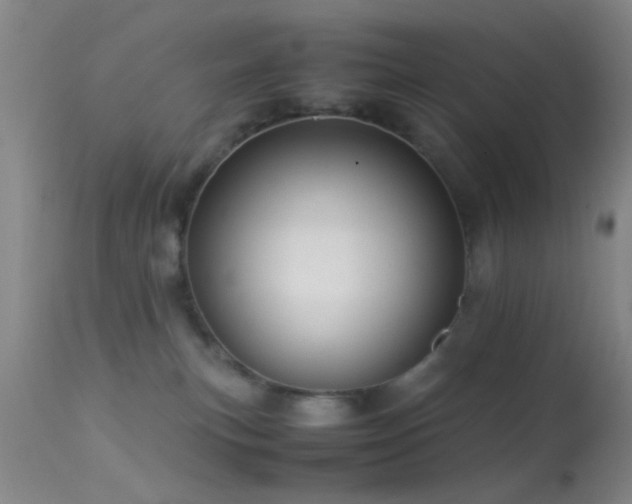 X0000113250183200909171634