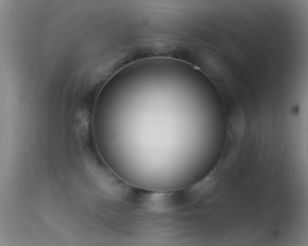 X0000113250184200909171634