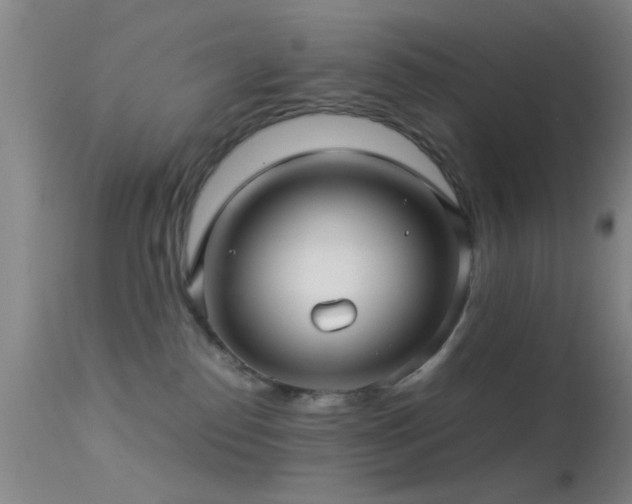 X0000113250186200909171634