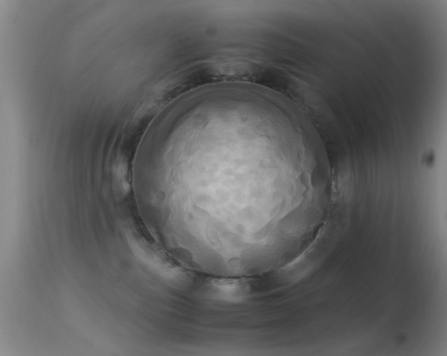 X0000113250187200909171634