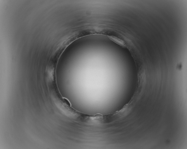 X0000113250188200909171634