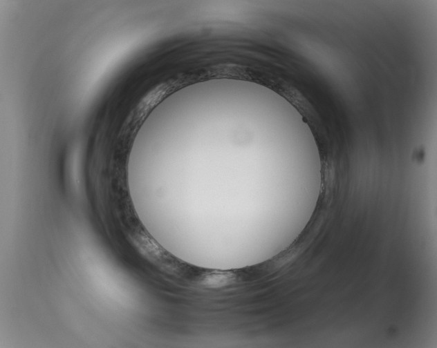 X0000113250189200909171634