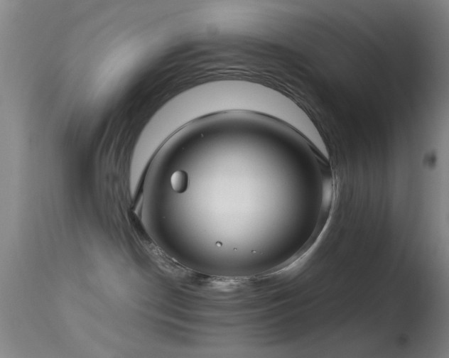 X0000113250190200909171634