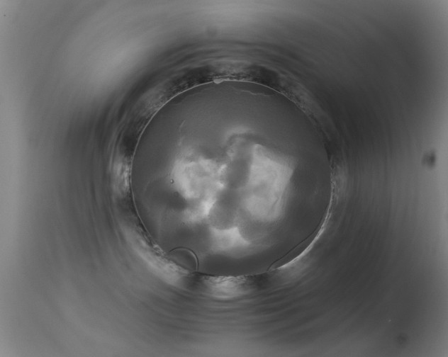 X0000113250191200909171634