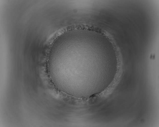 X0000113250192200909171634