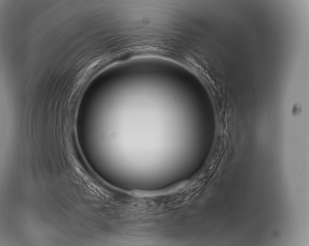 X0000113250193200909171634