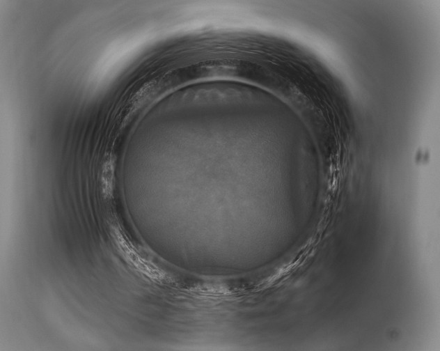 X0000113250194200909171634