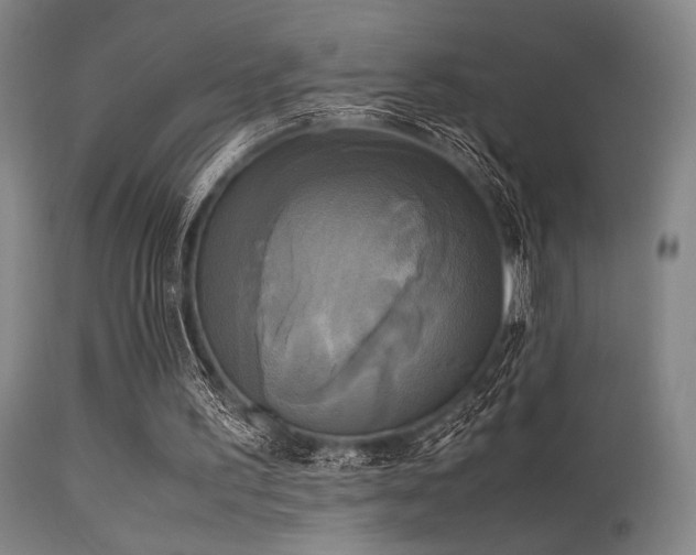 X0000113250195200909171634