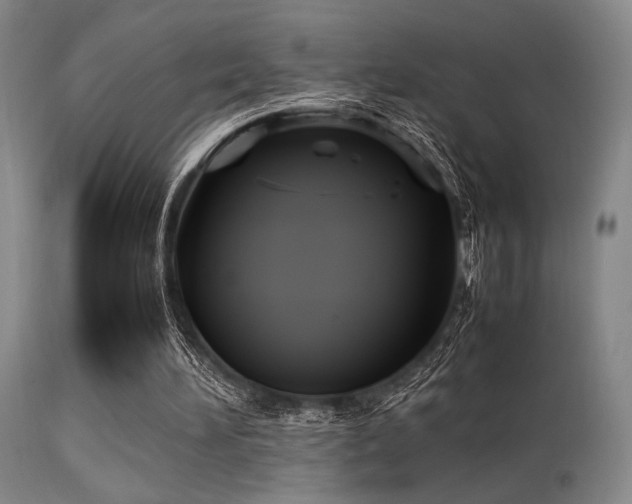 X0000113250196200909171634