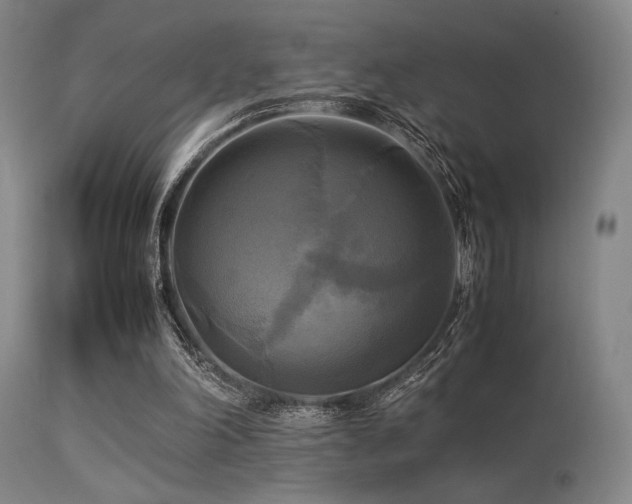 X0000113250198200909171634