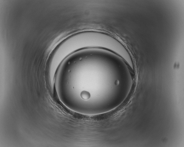 X0000113250199200909171634