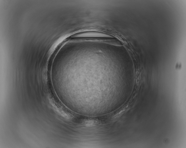 X0000113250200200909171634