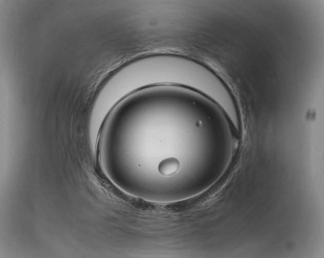 X0000113250201200909171634