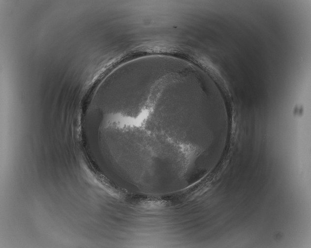 X0000113250202200909171634