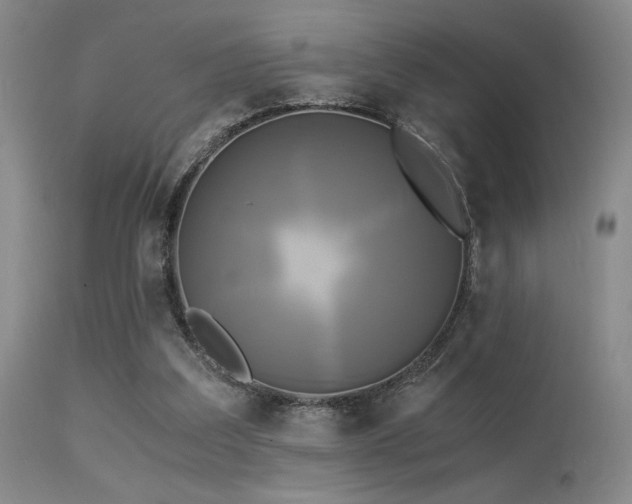 X0000113250203200909171634