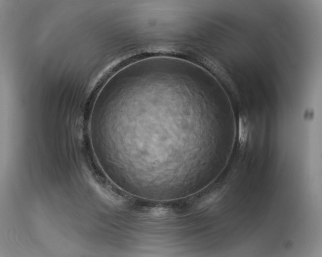 X0000113250204200909171634