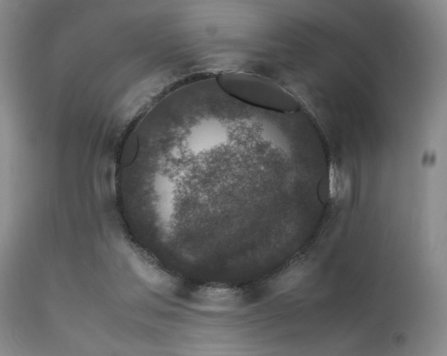 X0000113250205200909171634