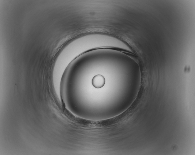 X0000113250207200909171634