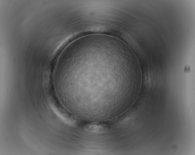 X0000113250208200909171634