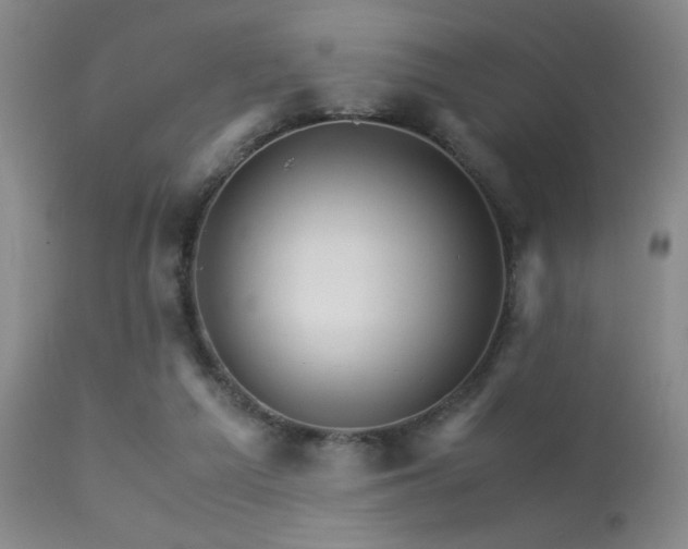 X0000113250209200909171633