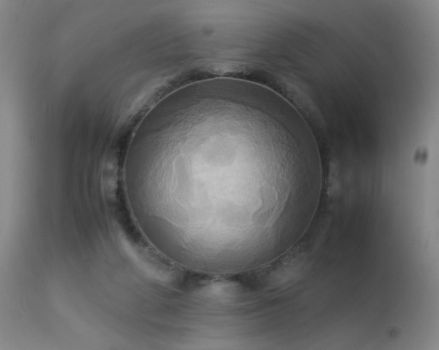 X0000113250210200909171633