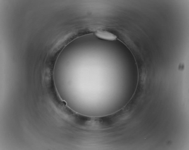 X0000113250211200909171633