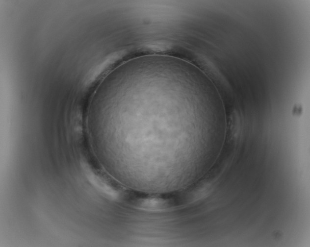 X0000113250212200909171633