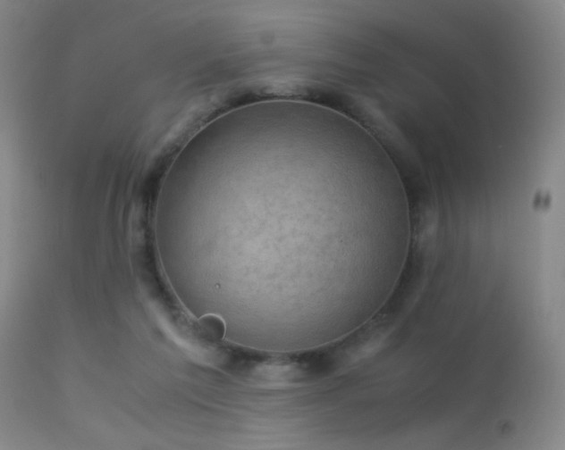 X0000113250213200909171633