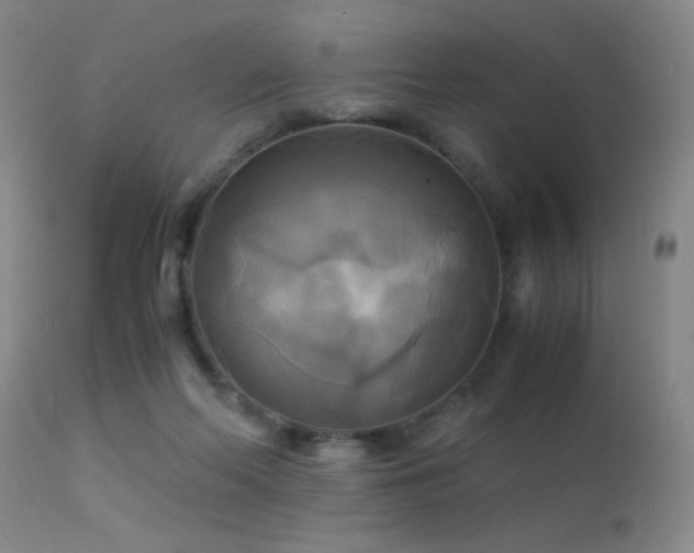 X0000113250214200909171633